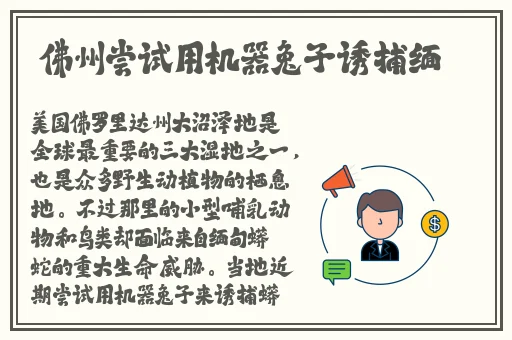 国产又黄又爽又湿的免费网站